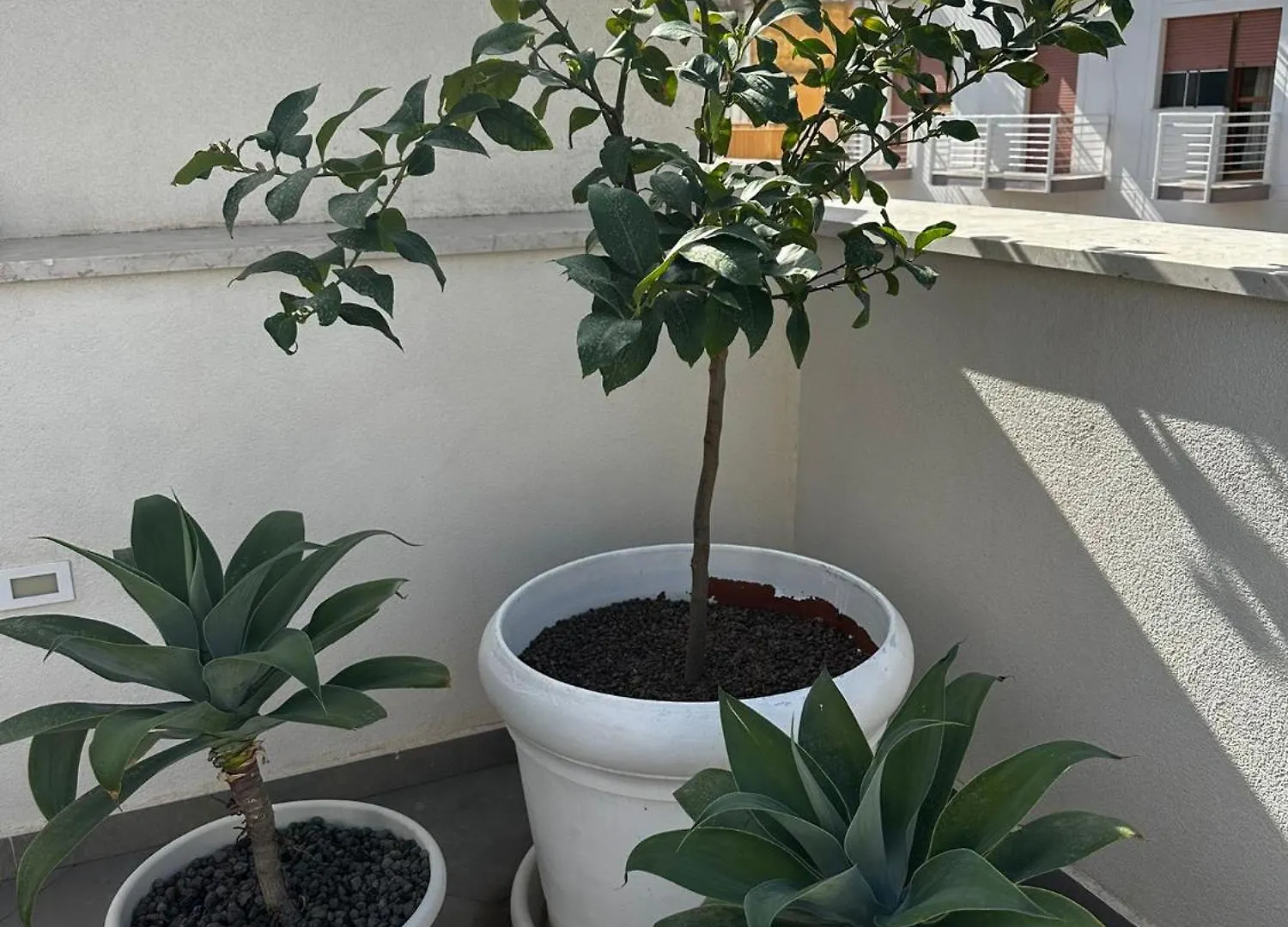 Appartamento La Brogna - Mazara Del Vallo Centro Apartment